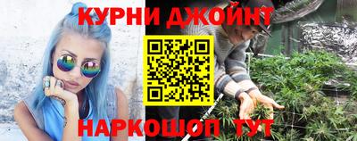 apvp Гусев